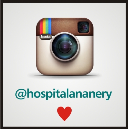 Siga o Ana Nery no Instagram